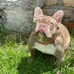 Robert Arguello - Facebook