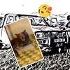robertkarell7 - @robertkarell - TikTok