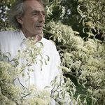 Robert Arnoux - @robert_arnoux - Instagram