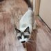 Robert Arnold - Facebook