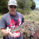 Robert Arnold - @fresh_off_the_boat_seafood - Instagram