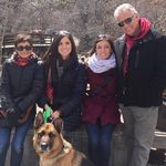 Robert Arnone - @robert.arnone.7 - Instagram