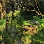 Robert Arp - @porchhonkyrob - Instagram