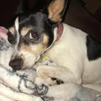 Robert Artman - Facebook