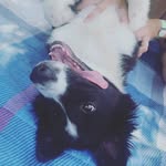 Roby - @roberta_saronnii - Instagram