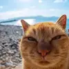 Robert Ash - @robert00420 - TikTok