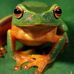 Robert Ashdown - Facebook