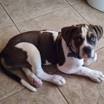 Robert Asher - @ashersstoregmail.com1 - Instagram