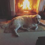 Robert Askin - @bigrob1959 - Instagram