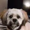 Robert Atchison - @robert.atchison5 - TikTok