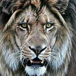 Jean Robert Aubry - @jeanrobertaubry - Instagram