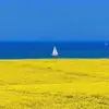 robertaubry8 - @robertaubry8 - TikTok