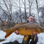 Robert Auer - @robert_carpfanatics - Instagram