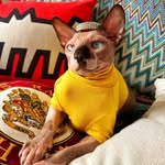 Alfred Robert Augustus Baruel - @alfredbaruel - Instagram
