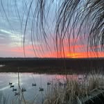 Robert Augustus Ricker II - @rickerbewhere - Instagram