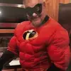 robertaugustus456 - @robertaugustus456 - TikTok