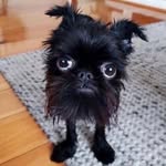 Robert Austen - @austenrobert - Instagram