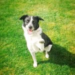 Robert Austen - @robert.austen.731 - Instagram