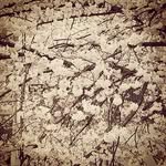 Robert Austen Barras - @robertaustenbarras - Instagram