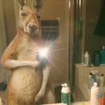 @robert_avalos1 - Instagram