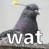Robert Avalos - @...that0neguy - TikTok