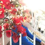 ROBERT AVILEZ - @robertitas_fans - Instagram
