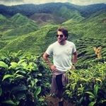 Robert Avrămuț - @robert.avramut - Instagram