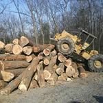 Robert Ayotte - @ayotterobert - Instagram