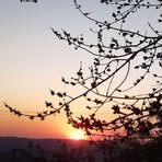 Robert Babic - Facebook