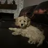 robertbabstock - @robertbabstock - TikTok