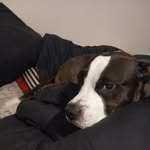 Robert Bagan - @bootyjuice218 - Instagram