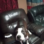 Robert Bagan - @robert.bagan.39 - Instagram