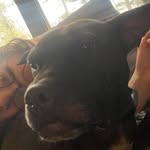 Robert Bailey - @robertbailey6833 - Instagram