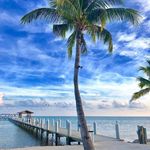 Robert Bailor - @robertbailor - Instagram