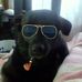 Robert Bailor - Facebook