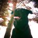 Robert Bailor - Facebook