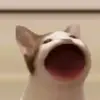 Robert Bajak - @robertbajak1 - TikTok