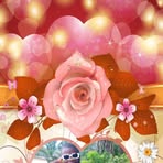 Boakai Robert - Facebook