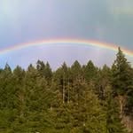 Robert Bakken - @robert.bakken - Instagram