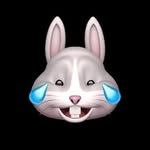Robert balan - @robertbalan9 - Instagram