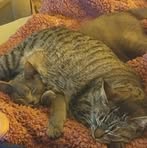 Robert Balentine - Facebook
