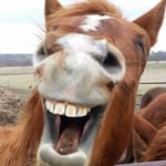Robert Balentine - @robert.balentine.1 - Instagram