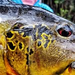 Robert Balkow - @robert_balkow - Instagram