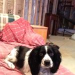 Tristin Robert Ballas - @tdog1234567890 - Instagram