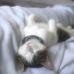 Robert Balling - Facebook