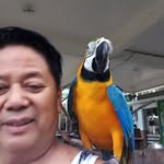 Robert Baltazar - @baltazar5657 - Instagram
