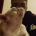 Robert Bannister - @robert1357950 - Instagram