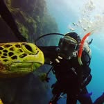 Robert Bannister - @r0bdiesel - Instagram