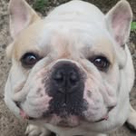 Hilbert Hugo Dias Barcelos - @robertbarcelos9 - Instagram