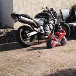 Robert Barcelo - @robert.barcelo.bonif - Instagram